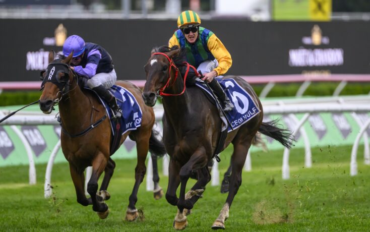 球队表现对 球队表现对