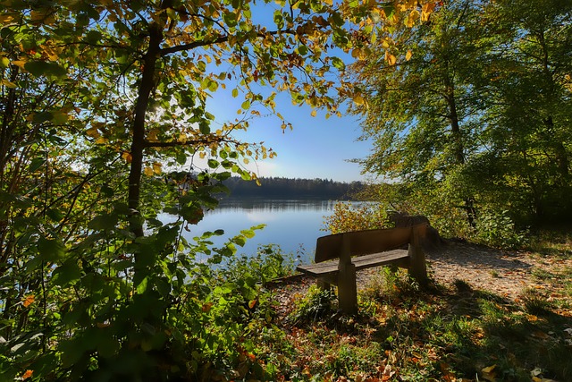 上海媒体确 上海媒体确